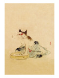 Japanese Cat Bathing