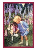Fairy Gardens