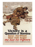 Buy Victory is a Question of Stamina at AllPosters.com