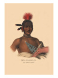 Buy Moa-Na-Hon-Ga, Ioway Chief at AllPosters.com