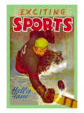 Buy Hall of Fame Goalie at AllPosters.com