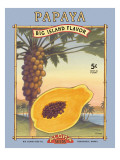 Buy Papaya at AllPosters.com
