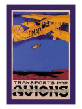 Transports Par Avions