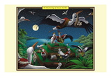A Mustering of Incan Storks
