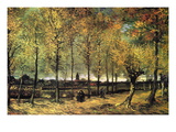 Buy Lane with Poplars at AllPosters.com