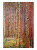 Tannenwald