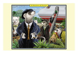 A Business of Ferrets