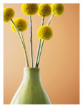 Buy Yellow Bouquet at AllPosters.com