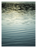 Buy Reflecting at AllPosters.com