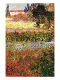 Flowering Garden with Path