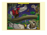 A Cast of Shakespearean Hawks