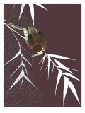 Finch in Dusk
