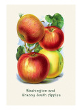 Buy Washington and Granny Smith Apples at AllPosters.com