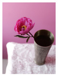 Buy Fun Pink Bouquet I at AllPosters.com