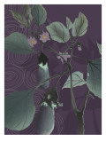Buy Eggplant Evening at AllPosters.com