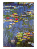 Water Lilies No. 3