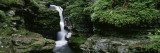 Panoramic View of a Waterfall, Ricketts Glen State Park, Pennsylvania, USA