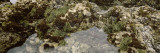 Buy Tidepool, Jalama Beach, California, USA at AllPosters.com