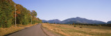 Trees on One Side of Loj Road, Sawtooth Mountain, Lake Placid, New York, USA
