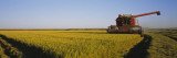 Buy Combine in a Rice Field, Glenn County, California, USA at AllPosters.com