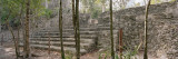 Iglesia Ruin, Coba Archaeological Zone, Quintana Roo, Mexico