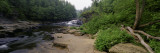 Stream of Water Flowing through a Forest, Swallow Falls State Park, Maryland, USA