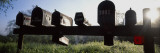 Mailboxes in a Row, Napa Valley, California, USA