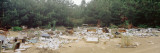 Garbage at a Garbage Dump, Ozarks, Arkansas, USA