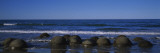 Boulders on the Beach, Moeraki Boulders, Gisborne, South Island, New Zealand