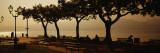 Buy Benches in a Park, Torri del Benaco, Lake Garda, Italy at AllPosters.com