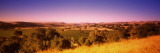 View of a Vineyard, Firestone Vineyard, Los Olivos, Santa Ynez Valley, California, USA