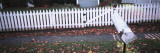 Mailbox in Front of a Picket Fence