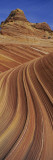 Natural Pattern on Rocks, Paria Canyon-Vermillion Cliffs Wilderness Area, Arizona-Utah Border, USA