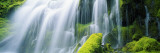 Close-Up of Waterfall on Moss Covered Rocks