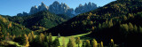Buy Trees on a Landscape, Dolomites, Funes Valley, le Odle, Santa Maddalena, Tyrol, Italy at AllPosters.com