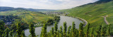 Vineyards Along Moselle River, Mosel-Saar-Ruwer, Germany