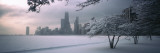 Snow Covered Tree at North Avenue Beach, Chicago, Illinois, USA