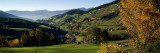 Buy Trees on a Landscape, Dolomites, Funes Valley, Tyrol, Italy at AllPosters.com