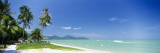 Palm Trees on the Beach, Penang, Malaysia