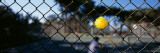Tennis Ball Stuck in a Fence, San Francisco, California, USA