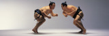 Buy Sumo Wrestlers Japan at AllPosters.com
