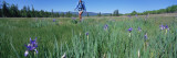 Woman Walking on a Field, Sangre de Cristo Mountains, New Mexico, USA