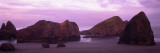 Rock Formations on the Beach, Myers Creek Beach, Oregon, USA
