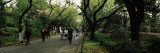 People Walking in a Park, Ueno Park, Taito, Tokyo Prefecture, Kanto Region, Japan