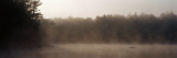 Morning Mist Adirondack State Park Old Forge Ny, USA