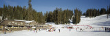 Group of People Skiing, Badger Pass Ski Area, Yosemite National Park, California, USA