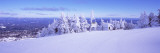 Ski Resort, Stratton Mountain Resort, Stratton, Windham County, Vermont, USA