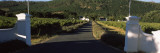 Entrance of a Vineyard, Franschhoek, Western Cape Province, South Africa Wall Decal