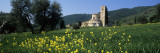 Flowers in a Field with a Church, San Antimo Abbey, San Antimo, Tuscany, Italy