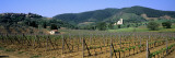 Vineyards with an Abbey, San Antimo Abbey, San Antimo, Tuscany, Italy